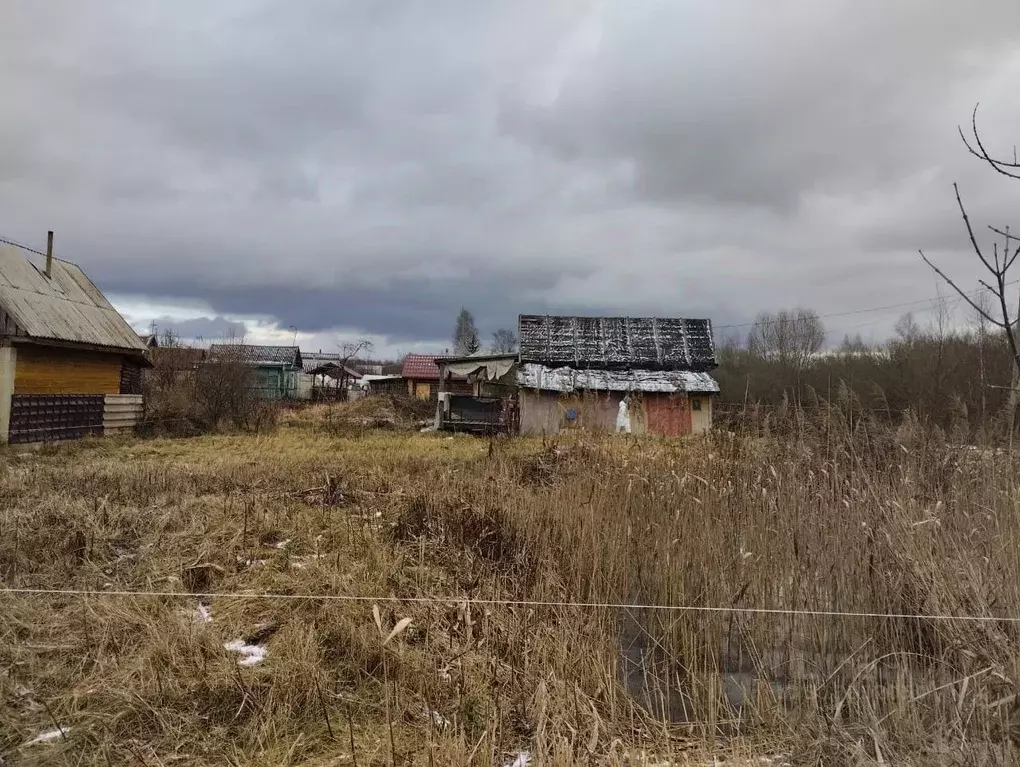 Участок в Новгородская область, Старая Русса Дачное СНТ,  (12.0 сот.) - Фото 1