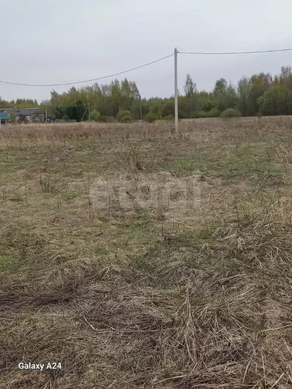 Участок в Ярославская область, Некрасовский муниципальный округ, ... - Фото 0