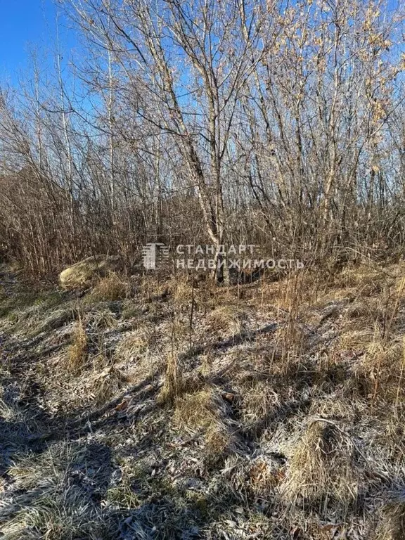 Участок в Тюменская область, Нижнетавдинский муниципальный округ, с. ... - Фото 2