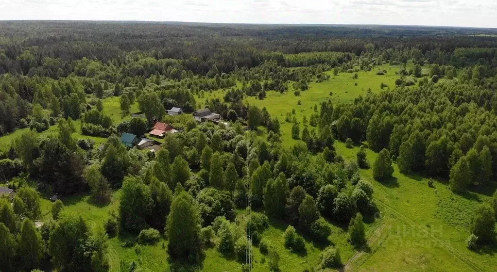 Участок в Нижегородская область, Чкаловск муниципальный округ, д. ... - Фото 1
