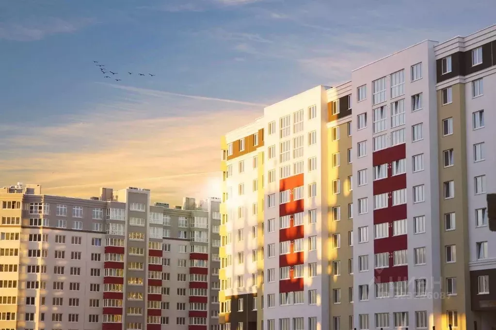 1-к кв. Калининградская область, Калининград ул. Кипарисовая, 1 (44.0 ... - Фото 1