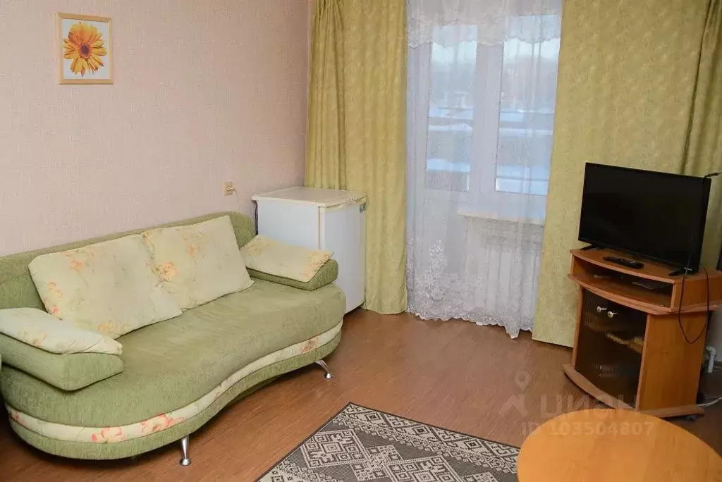 1-к кв. Карелия, Сегежа ул. Спиридонова, 33 (33.0 м) - Фото 1