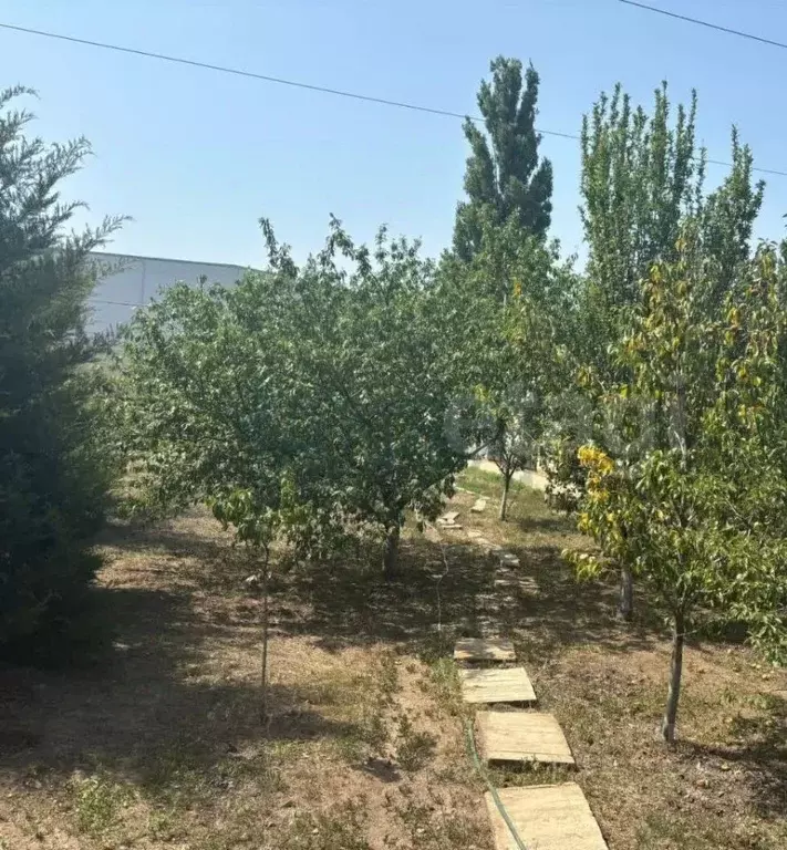 Участок в Ростовская область, Мясниковский район, Краснокрымское ... - Фото 1