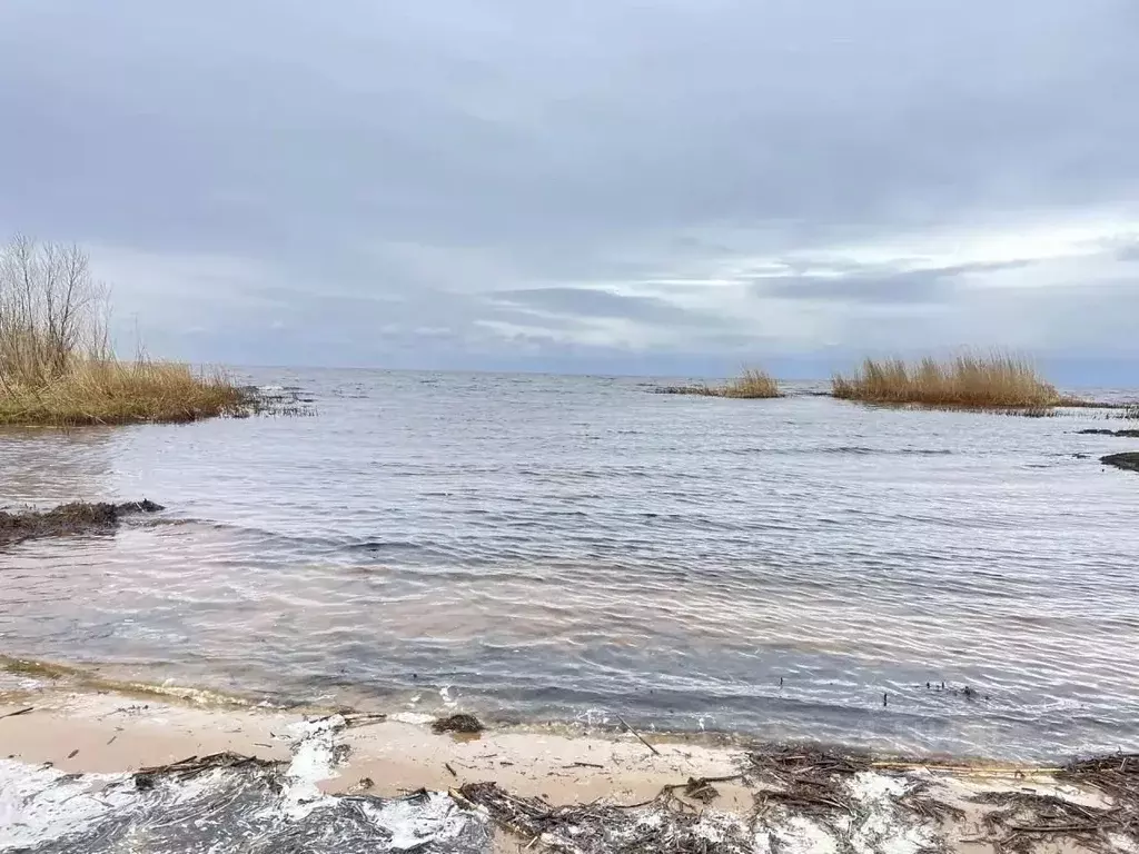 Участок в Псковская область, Псковский муниципальный округ, д. Баглицы ... - Фото 1