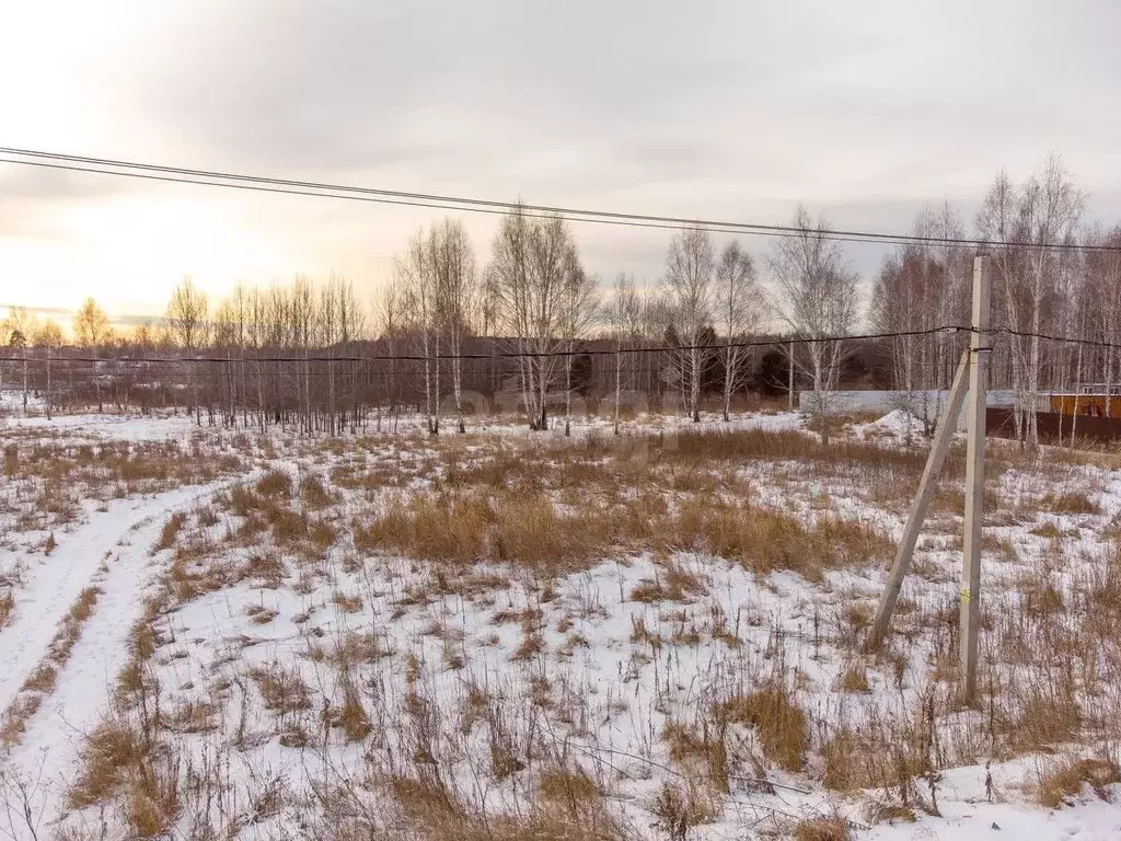 Участок в Тюменская область, Нижнетавдинский муниципальный округ, У ... - Фото 1