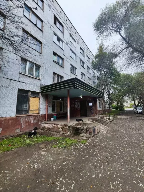 Комната Свердловская область, Нижний Тагил ул. Попова, 23 (11.8 м) - Фото 1