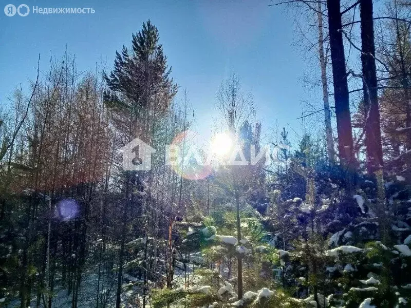 Участок в Баргузинский район, село Максимиха (7.95 м) - Фото 1