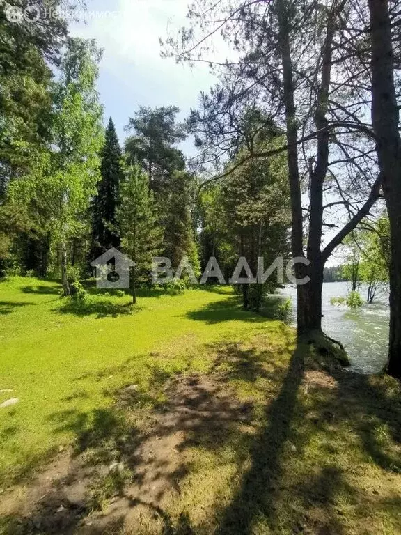 Участок в Турочакский район, село Кебезень (900 м) - Фото 0
