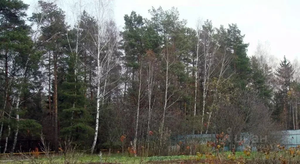 Участок в Московская область, Одинцовский городской округ, Иславское ... - Фото 1