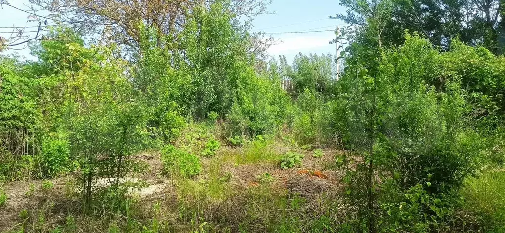 Дача 21 м на участке 9 сот. - Фото 1