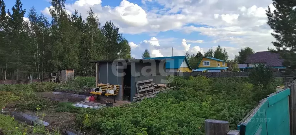 Участок в Ханты-Мансийский АО, Сургут № 2 садовое товарищество, ул. ... - Фото 0