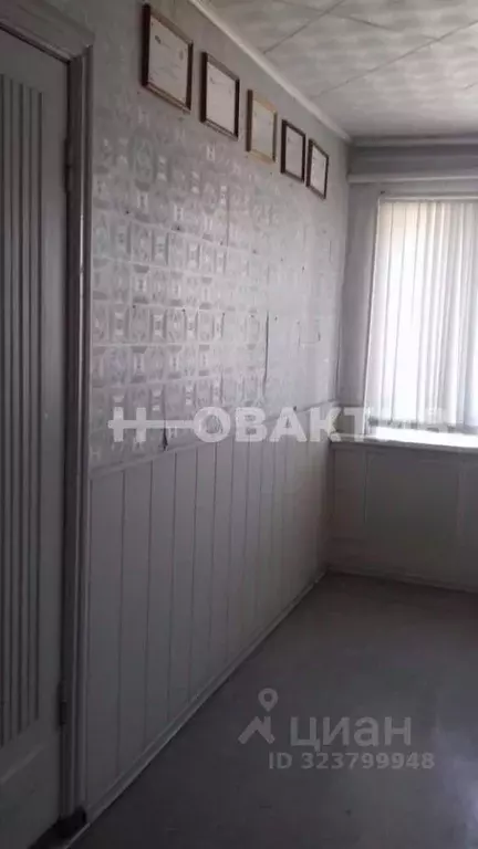 Торговая площадь в Алтайский край, с. Романово пер. Советский, 15 (564 ... - Фото 2