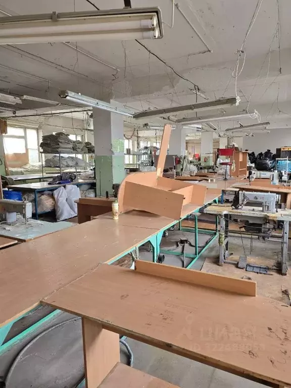 Помещение свободного назначения в Пермский край, Пермь Бойный пер., 1 ... - Фото 2