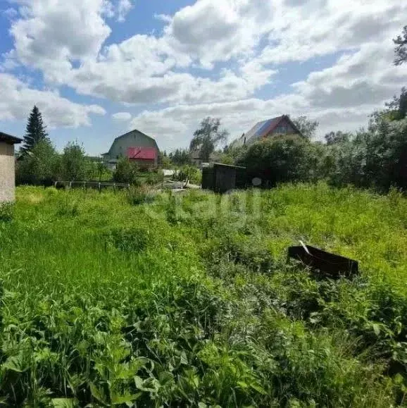 Участок в Новосибирская область, Новосибирск Ветеран СНТ, ул. Садовая ... - Фото 0