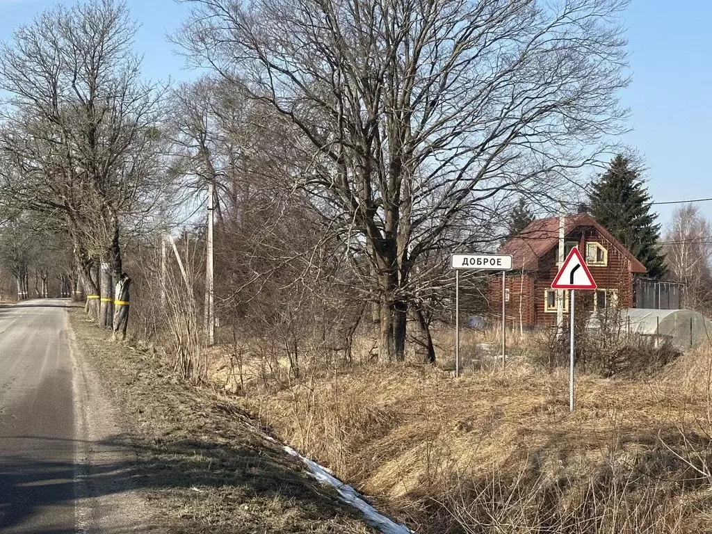 Участок в Калининградская область, Гурьевский муниципальный округ, ... - Фото 1