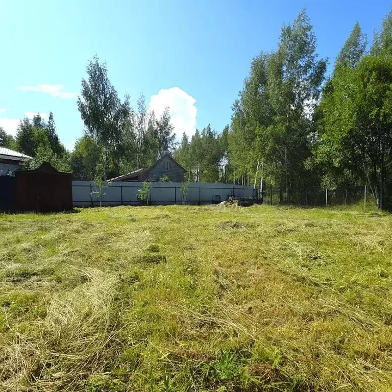 Участок в Московская область, Щелково ул. Чехова, 14/3 (10.0 сот.) - Фото 2