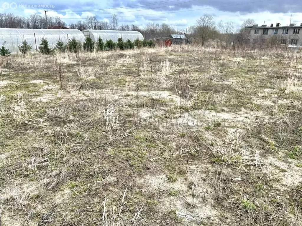 Участок в посёлок Ропша, Ольгин переулок (11.3 м) - Фото 2