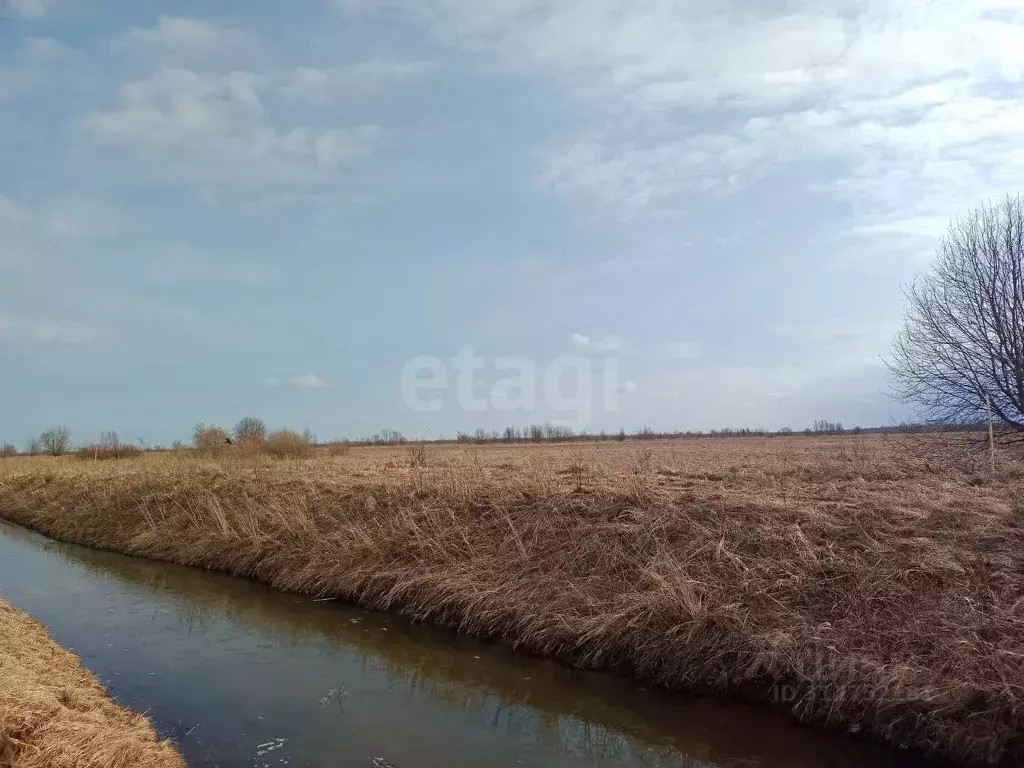 Участок в Псковская область, Гдов городское поселение, д. Луневщина  ... - Фото 1
