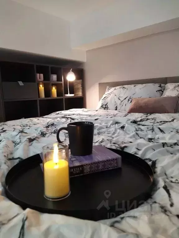 Студия Москва Центросоюзный пер., 13С2 (21.0 м) - Фото 2