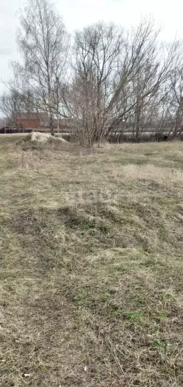 Участок в Липецкая область, Добровский муниципальный округ, с. ... - Фото 1