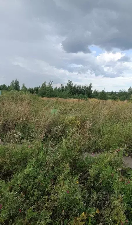 Участок в Тамбовская область, Котовск ул. Кузьминская (10.0 сот.) - Фото 0