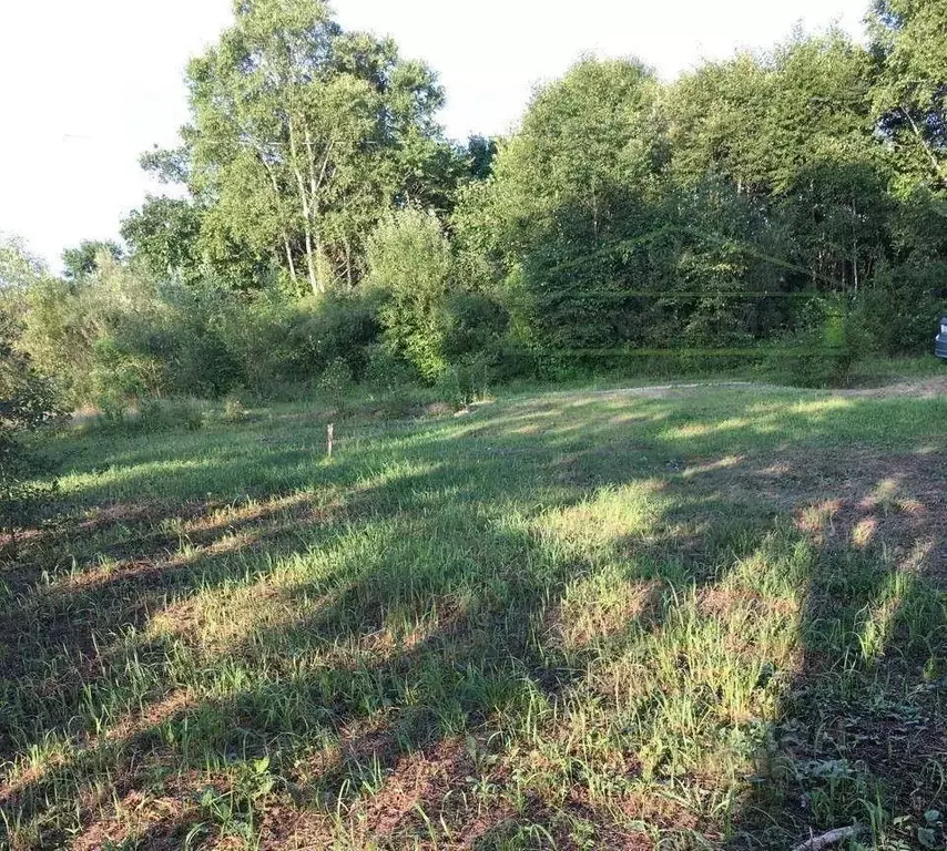 Участок в Приморский край, Надеждинский район, с. Вольно-Надеждинское  ... - Фото 1