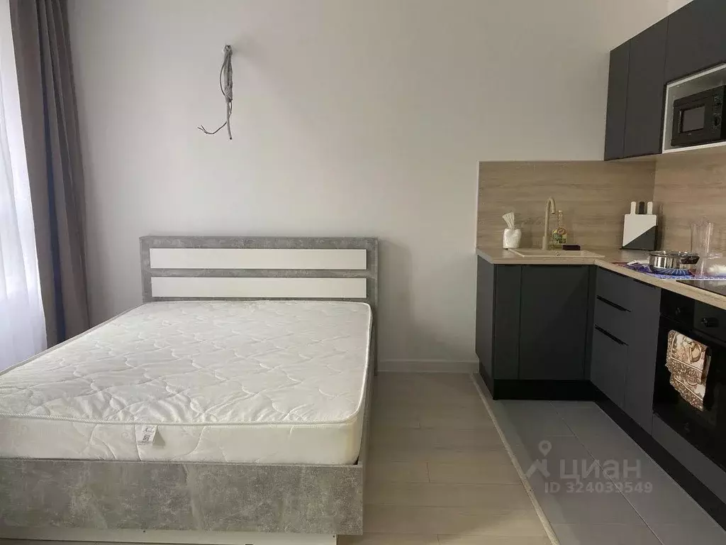 Студия Московская область, Пушкино ул. Александра Меня, 5 (26.0 м) - Фото 1