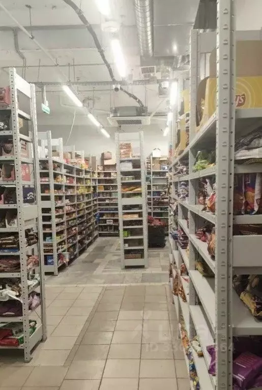 Помещение свободного назначения в Санкт-Петербург Большая Пороховская ... - Фото 1