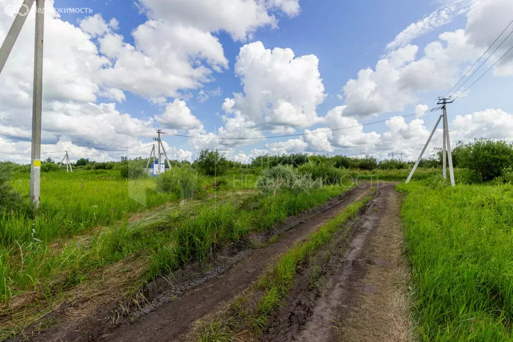 Участок в Тюмень, садовое товарищество Березняки-2 (10 м) - Фото 1