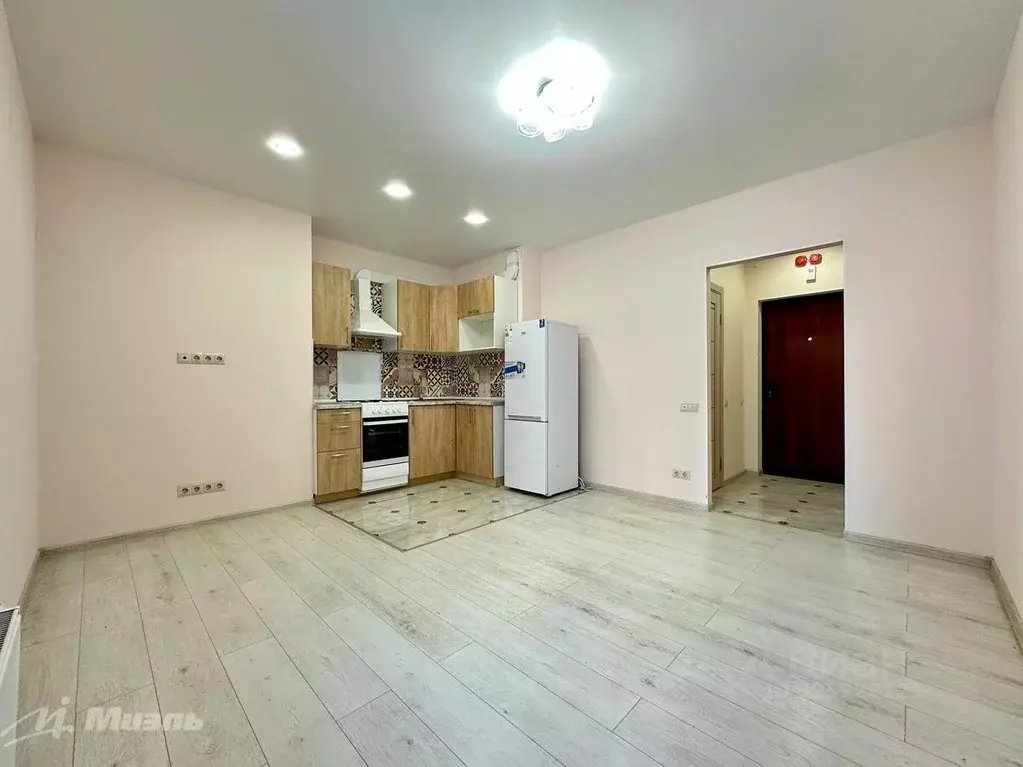 Студия Московская область, Балашиха ул. Безымянная, 2 (25.3 м) - Фото 1