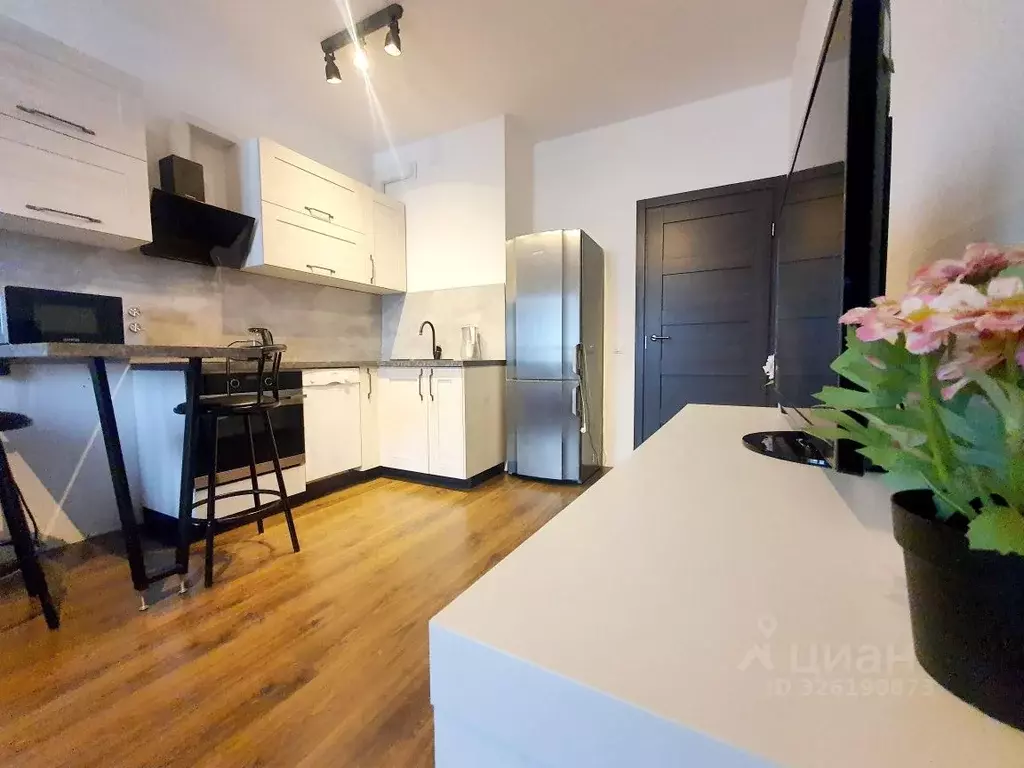 Студия Санкт-Петербург Комендантский просп., 66к3 (25.0 м) - Фото 1