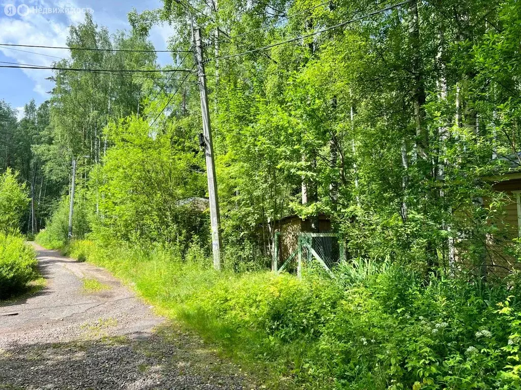 Участок в посёлок Репино, 1-я Северная улица, 10АЖ (15 м) - Фото 1