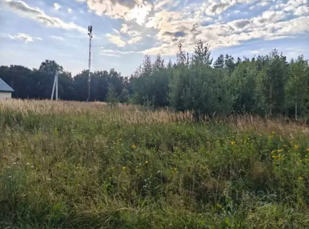 Участок в Московская область, Коломна городской округ, с. Горы  (11.0 ... - Фото 1