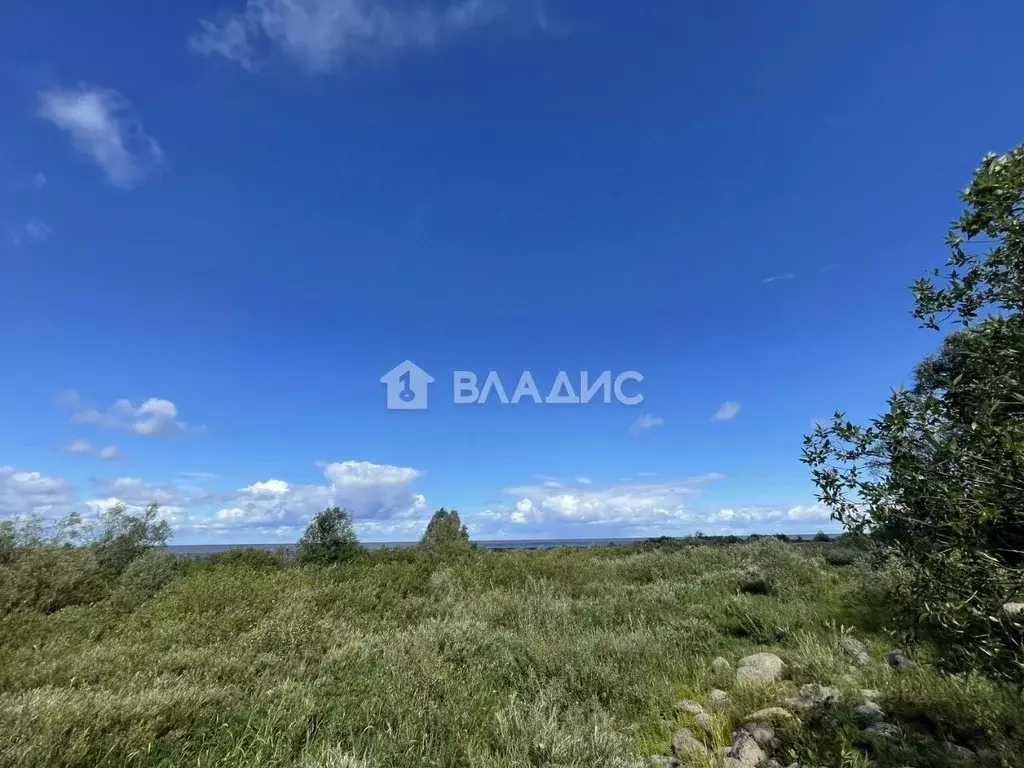 Участок в Новгородская область, Старорусский район, Наговское с/пос, ... - Фото 2