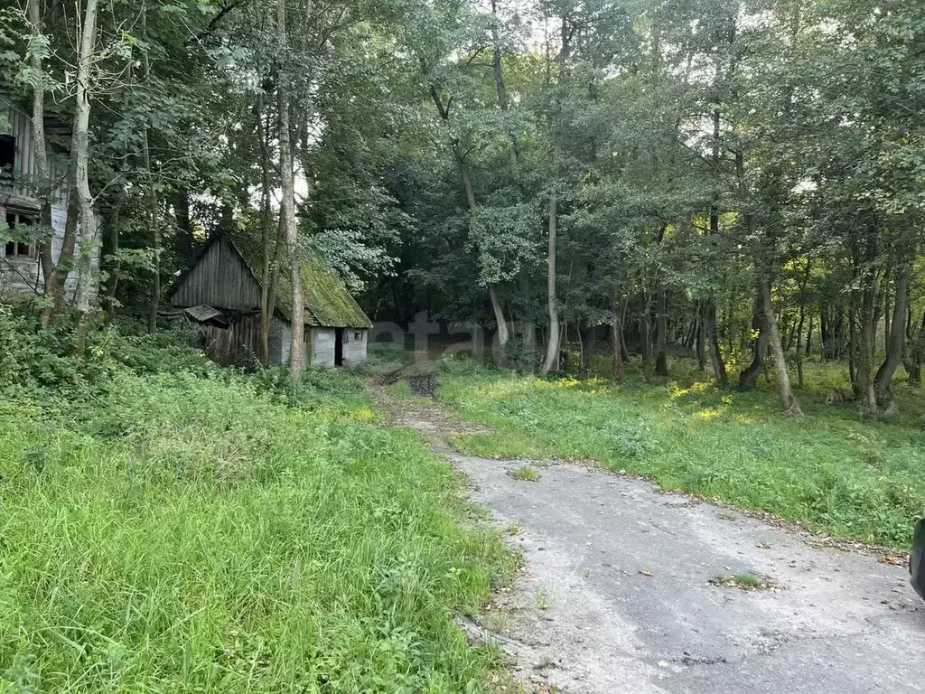 Участок в Калининградская область, Гурьевский муниципальный округ, ... - Фото 1