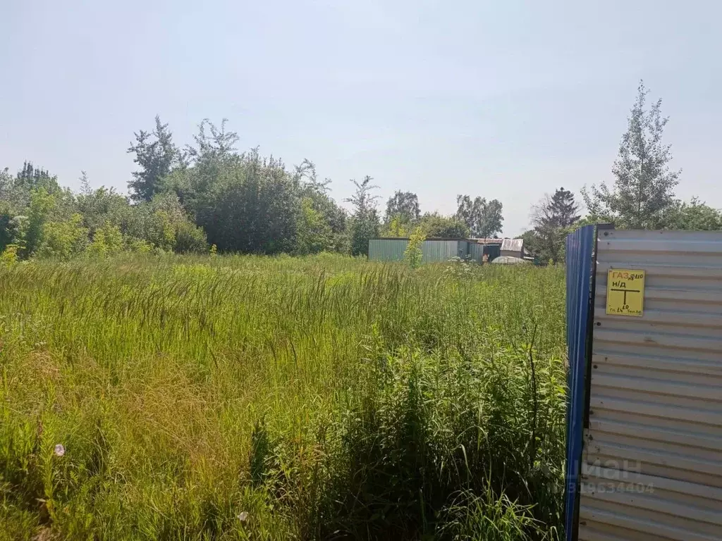 Участок в Калужская область, Совхоз Боровский с/пос, д. Мишково  ... - Фото 1
