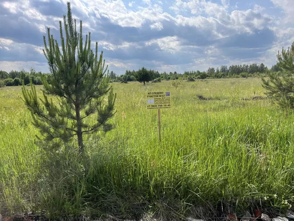 Участок в Московская область, Богородский городской округ, Следово кп ... - Фото 1