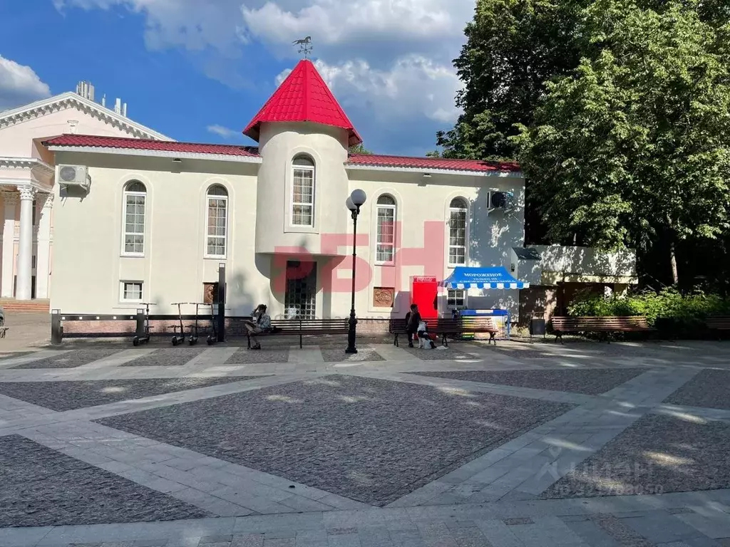 Помещение свободного назначения в Пензенская область, Пенза Московская ... - Фото 1