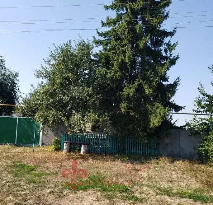 Дом в Белгородская область, Ивнянский район, Череновское с/пос, с. ... - Фото 1