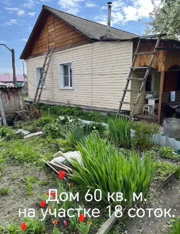 Дом в Алтайский край, Зональный район, с. Соколово Береговая ул., 12А ... - Фото 0