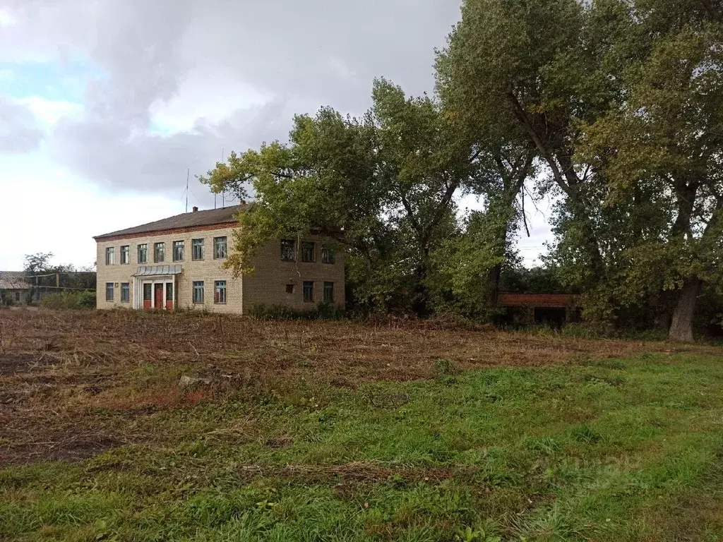 Помещение свободного назначения в Курская область, Большесолдатский ... - Фото 1