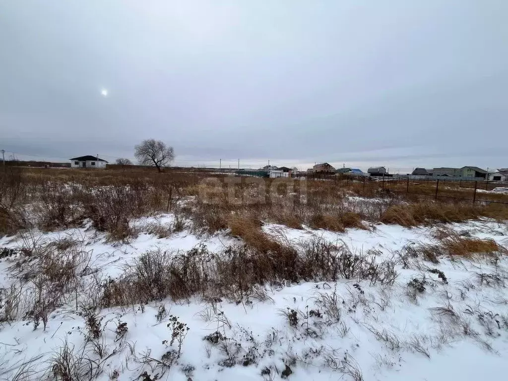 Участок в Тюменская область, Тюменский район, д. Есаулова, Клюква кп  ... - Фото 1