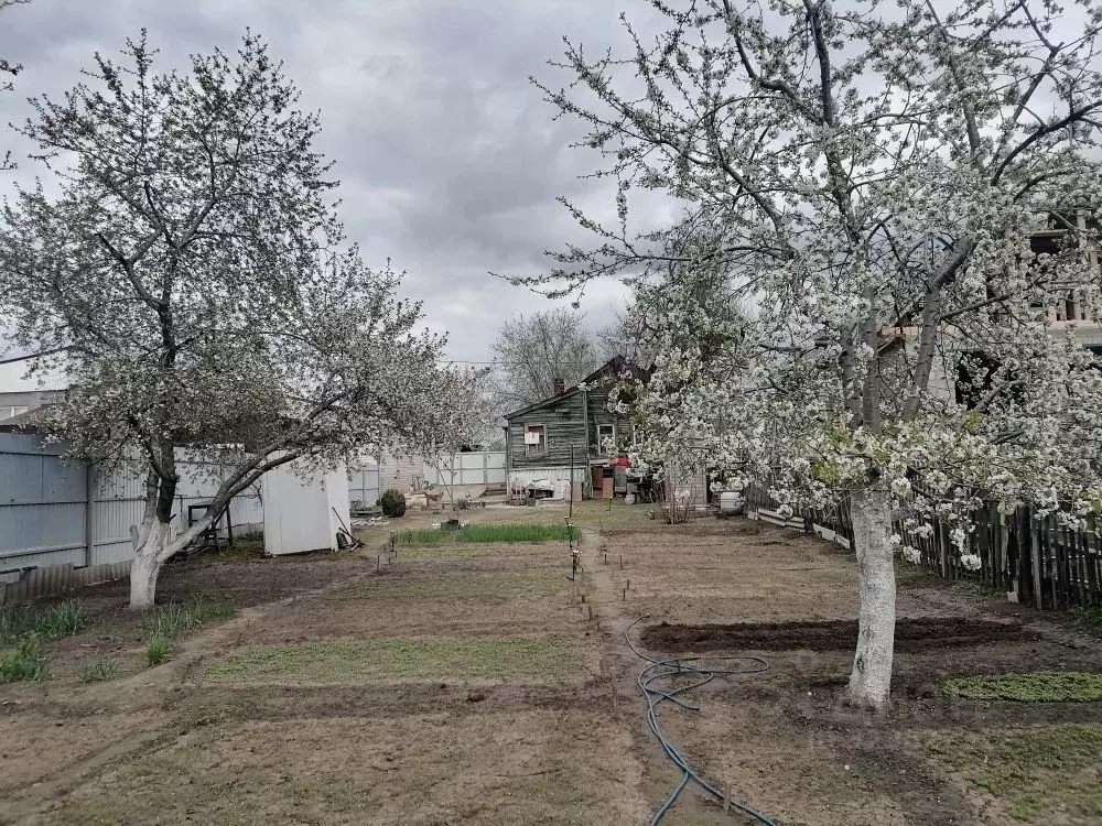 Дом в Волгоградская область, Краснослободск Среднеахтубинский район, ... - Фото 2