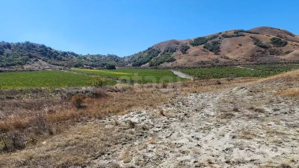 Участок в Крым, Феодосия муниципальный округ, Коктебель пгт ул. ... - Фото 1