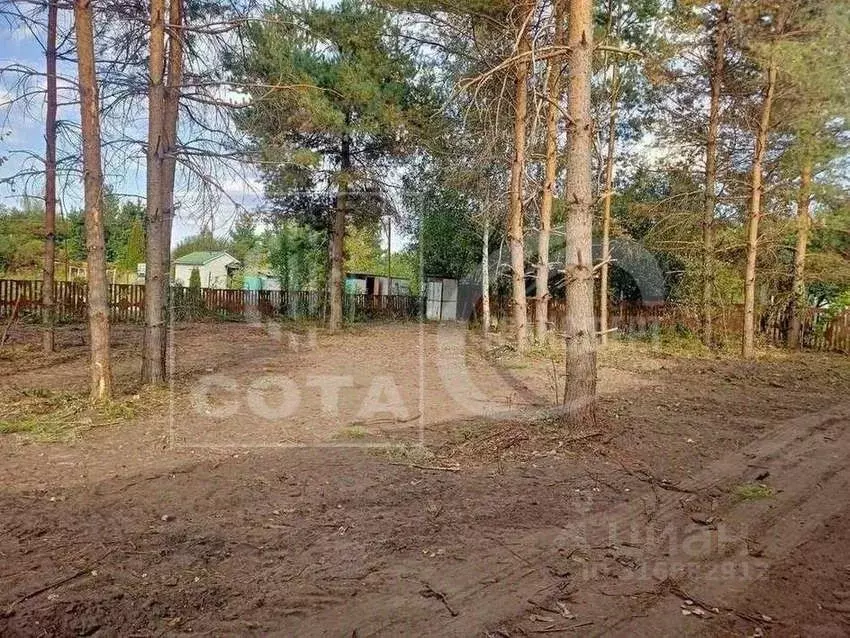 Участок в Воронежская область, Рамонский район, Айдаровское с/пос, ... - Фото 2