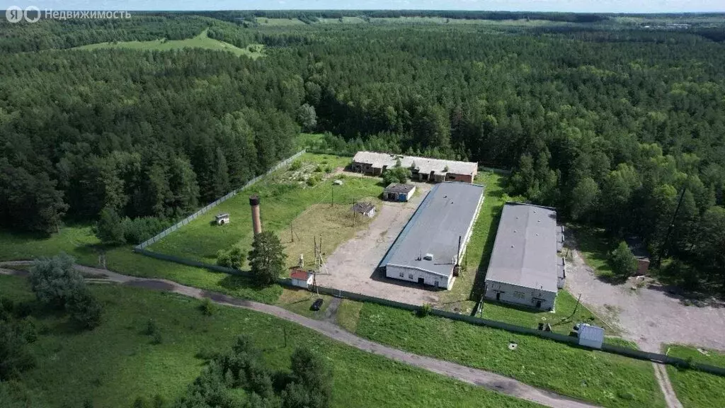 Помещение свободного назначения (2550 м) - Фото 1