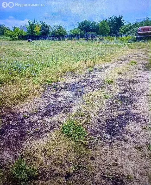 Участок в село Шибылги, улица Ленина, 19 (12 м) - Фото 1