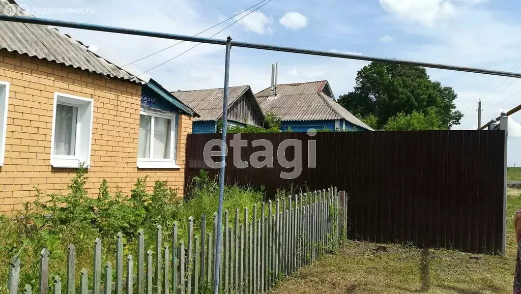 Дом в Афанасовское сельское поселение, село Нечаево (43 м) - Фото 2