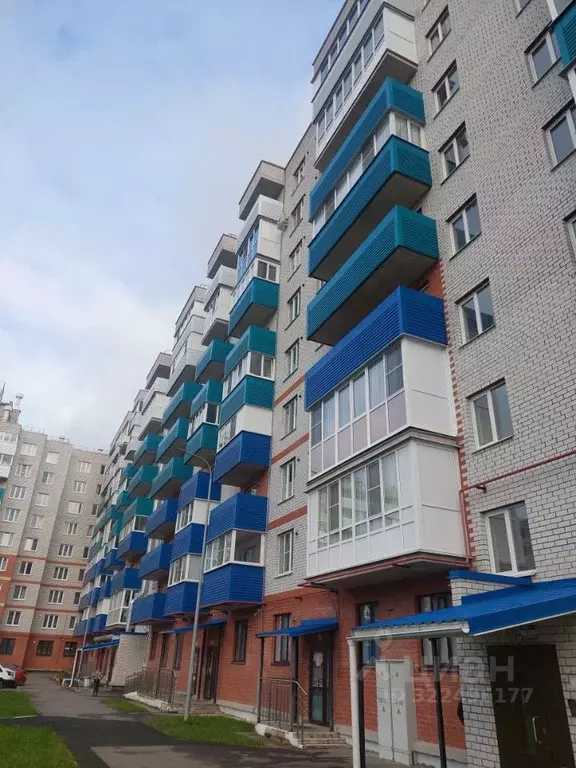 Студия Псковская область, Псковский район, Завеличенская волость, д. ... - Фото 1