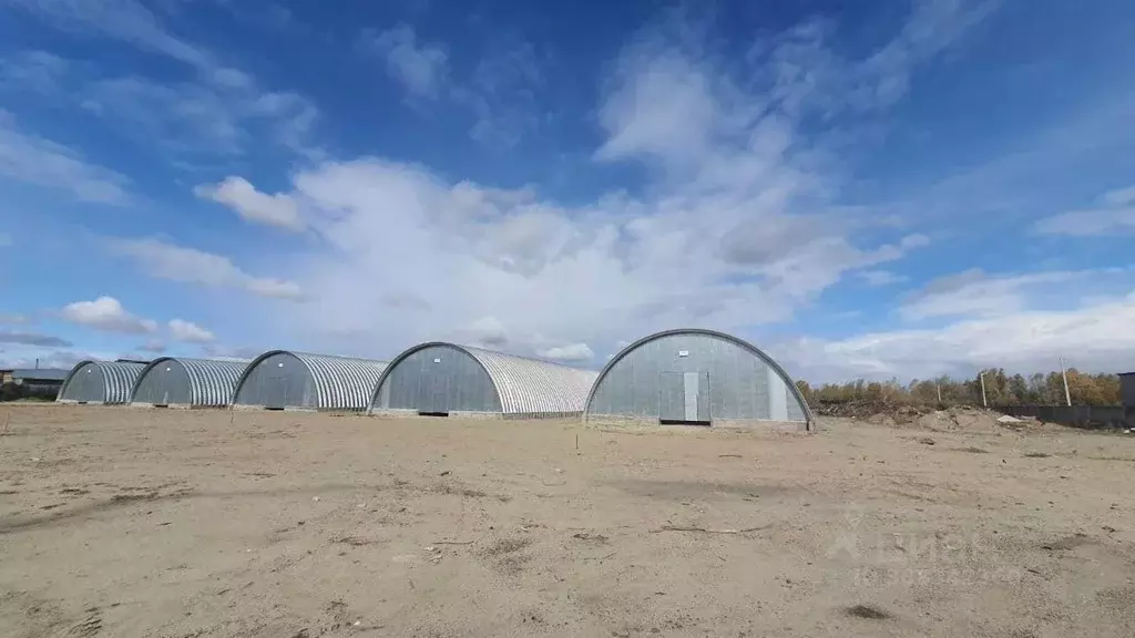 Склад в Новосибирская область, Новосибирский район, с. Криводановка ... - Фото 0